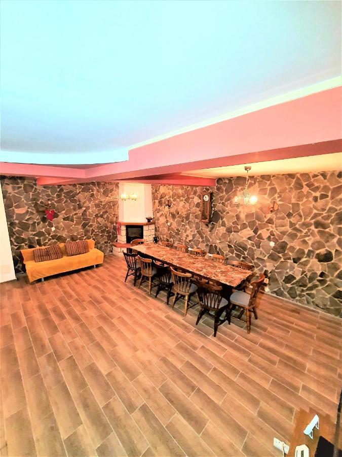Cîrţişoara Vila Luca'S מראה חיצוני תמונה
